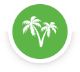CodeOasis